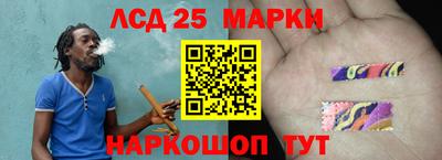 ГАЛЛЮЦИНОГЕННЫЕ ГРИБЫ Свободный