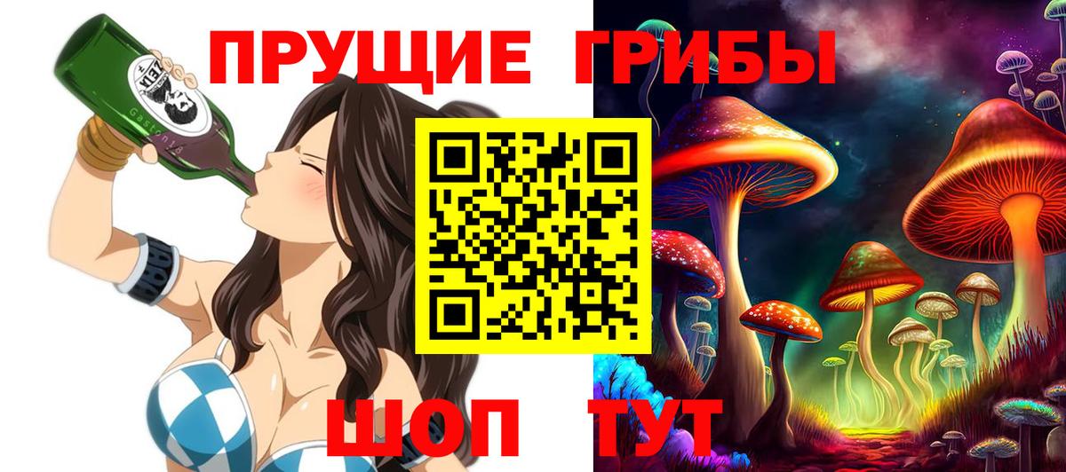 Соль-Илецк  Галлюциногенные грибы Psilocybe  Галлюциногенные грибы мухоморы  Вход с VPN 